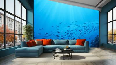 fish flow Wall mural