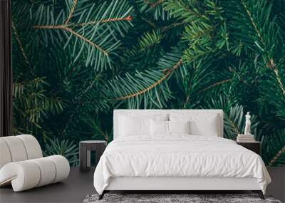 creative layout made of christmas tree branches. flat lay. nature new year concept. Wall mural