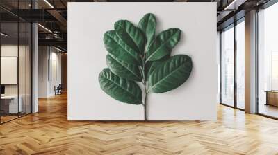 Creative minimal arrangement of leaves on bright white background. Flat lay. Nature concept. Wall mural