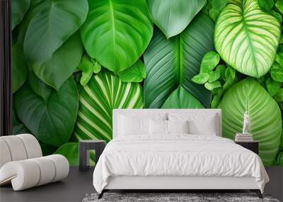 Discover the beauty of intertwining leaf species, showcasing lush greenery and intricate patterns Wall mural