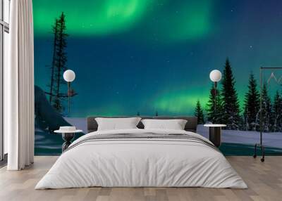 Scenic shot of spruces in a snowy field under the northern lights Wall mural