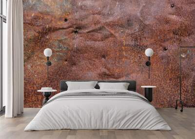 Brown rusted and scratched metal surface texture Wall mural