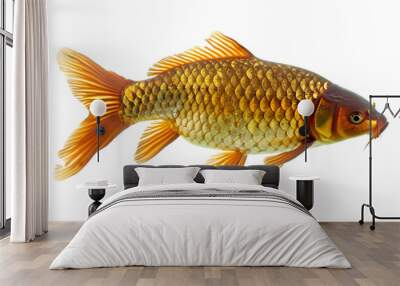 Fish transparent background


 Wall mural