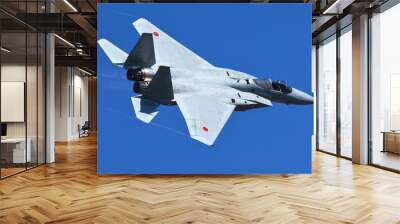 航空自衛隊のF-15戦闘機 Wall mural