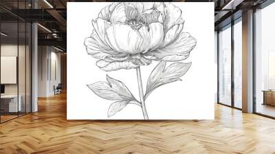 Simple Elegant line drawing of a pretty peony flower, outline drawing, vector line drawing of peony flower Wall mural