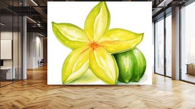 Watercolor Star fruit Illustration isolated on white background, vector illustration Wall mural