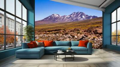 On the way to the Atacama Desert in Chile Wall mural