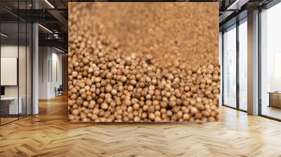 Coriander grains whole and ground natural seasoning Wall mural