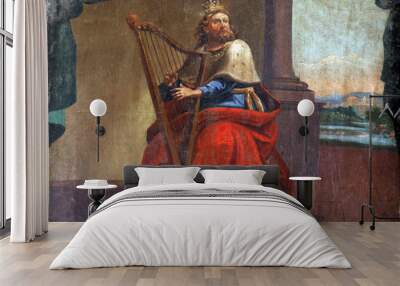 king david Wall mural