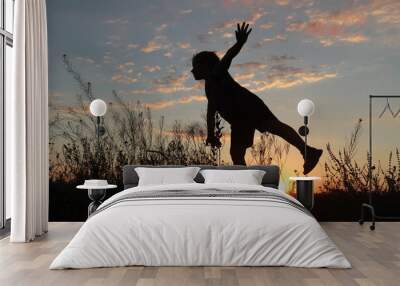 The boy at sunset emits a flight, standing on one leg Wall mural