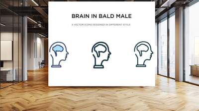 brain in bald male head icon in different style vector illustration. two colored and black brain in bald male head vector icons designed filled, outline, line and stroke style can be used for web, Wall mural