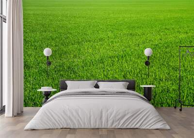  grass Wall mural