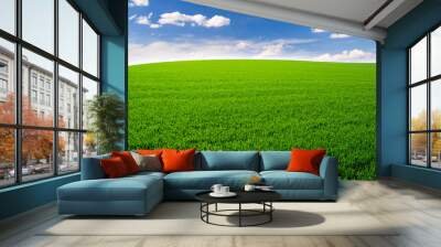 Green field and blue sky Wall mural