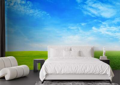 Green field under blue sky with white clouds Wall mural