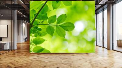 green leaves Wall mural