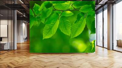 green leaves Wall mural