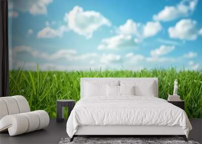 hermoso césped verde con cielo azul y nubes blancas Wall mural