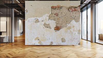 Close-up view of old damaged plaster. Abstract background for various uses. Wall mural