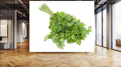 Parsley Wall mural