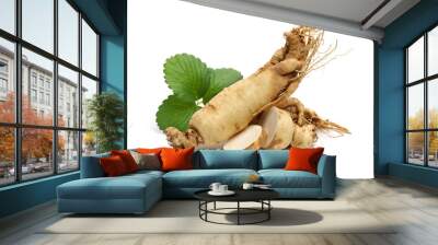  ginseng isolated on white background Wall mural