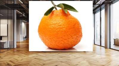  tangerine on a white background  Wall mural