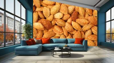 apricot kernel isolated on white background Wall mural