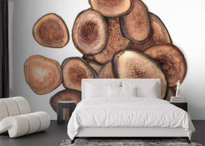 Chinese herbs, antlers on white background Wall mural