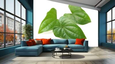 Chinese yam leaf on white background Wall mural