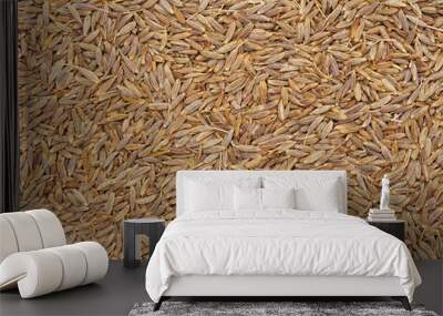 Cumin seeds texture, full frame background. Second most popular spice in the world after black pepper. Wall mural