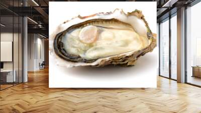 Fresh opened oyster on white background Wall mural