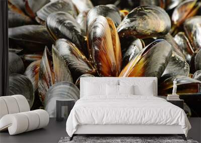 mussel background Wall mural