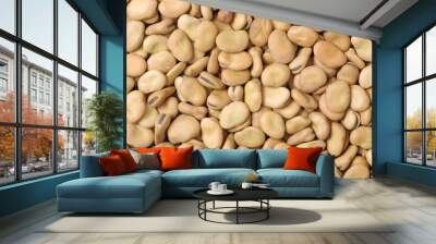 Pile of broad beans, background Wall mural