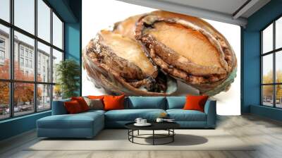 Raw abalones on the white background  Wall mural