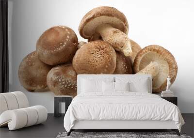 Shiitake mushroom on the White background  Wall mural