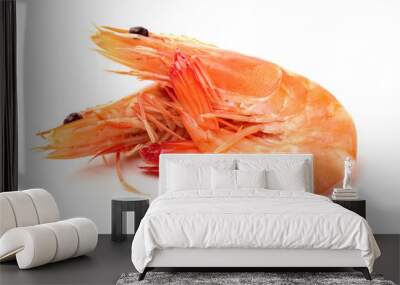 shrimps on a white background Wall mural