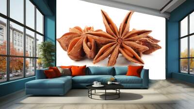 star anise isolated on white Wall mural