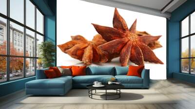 star anise on white background Wall mural