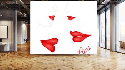 Females red lips with the contour face second set vector illustration Wall mural