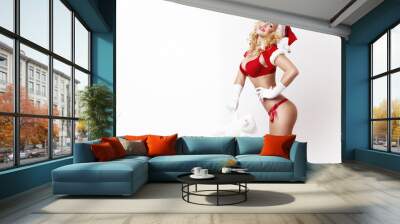 beautiful and sexy woman dresses as a sexy santa claus Wall mural