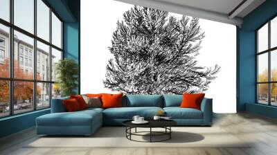 Cartoon vector doodle drawing illustration of pine conifer or coniferous tree. Wall mural