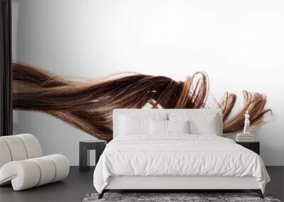 brown hair on white background Wall mural