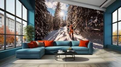 mountaineer backcountry ski walking ski alpinist in the mountains. ski touring in alpine landscape w Wall mural