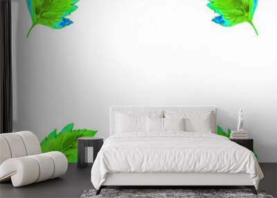 set of four green leaves Wall mural