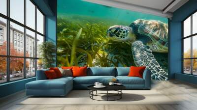 Sea Turtle Grazing in Seagrass Meadow Wall mural