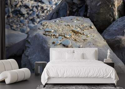 A pile of Gold nugget grains, on big river stone. Golden texture. Wall mural