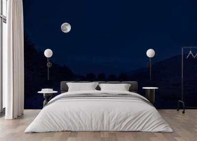 Mountain Road through the forest on a full moon night. Scenic night landscape of dark blue sky with moon Wall mural