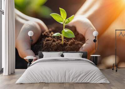 Close-up of female hands holding young plant in soil. Earth day concept Wall mural