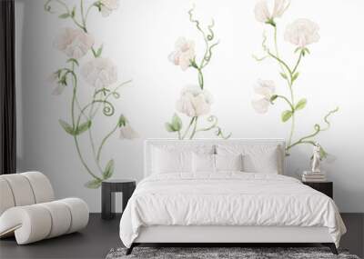 Beautiful floral stock illustration with hand drawn watercolor white sweet peas flowers. Clip art. Wall mural