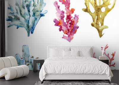 Corals with shells and crabs Wall mural