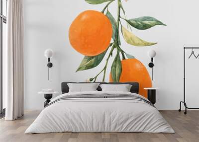 Watercolor citrus fruits vector illustration Wall mural